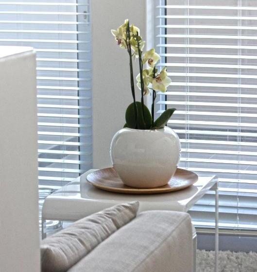 اتاق لوکس خانوادگی, Swakopmund Luxury Suites