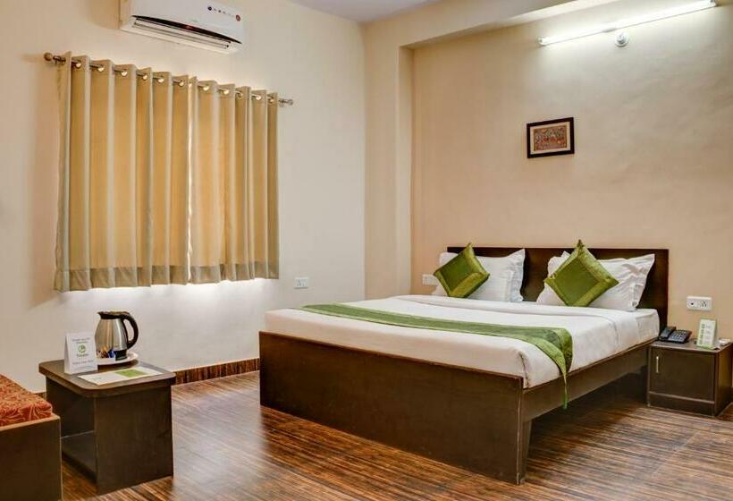 高级大房间, The Park Classic Udaipur