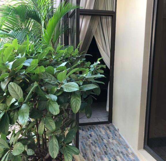Quarto Estandar Individual, Casa Flora Guesthouse