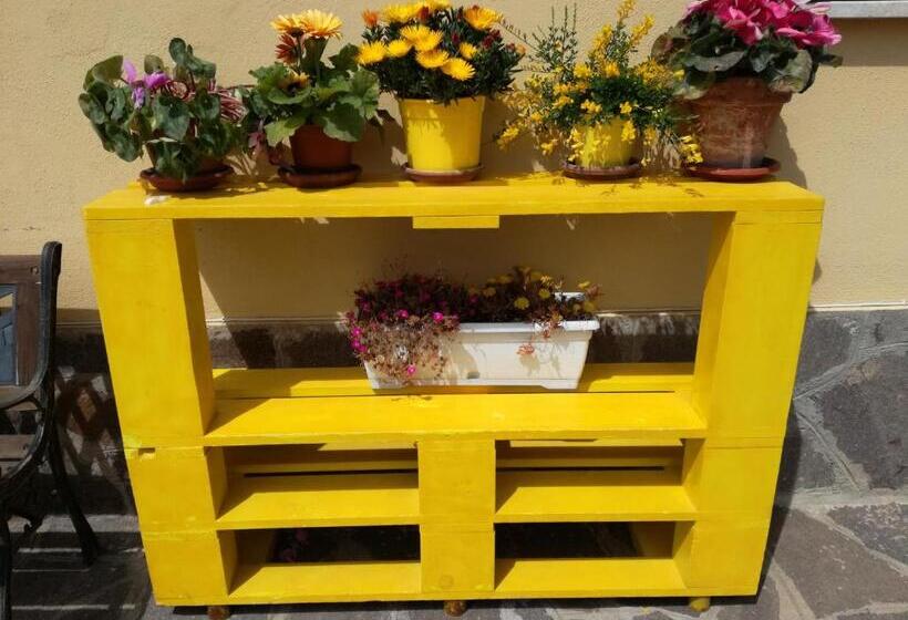 Номер Стандарт, The Yellow House