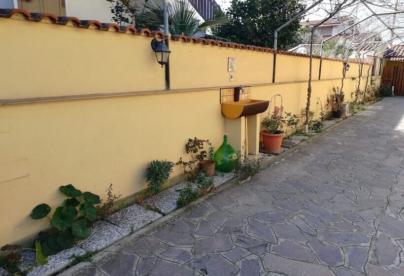 Номер Стандарт, The Yellow House