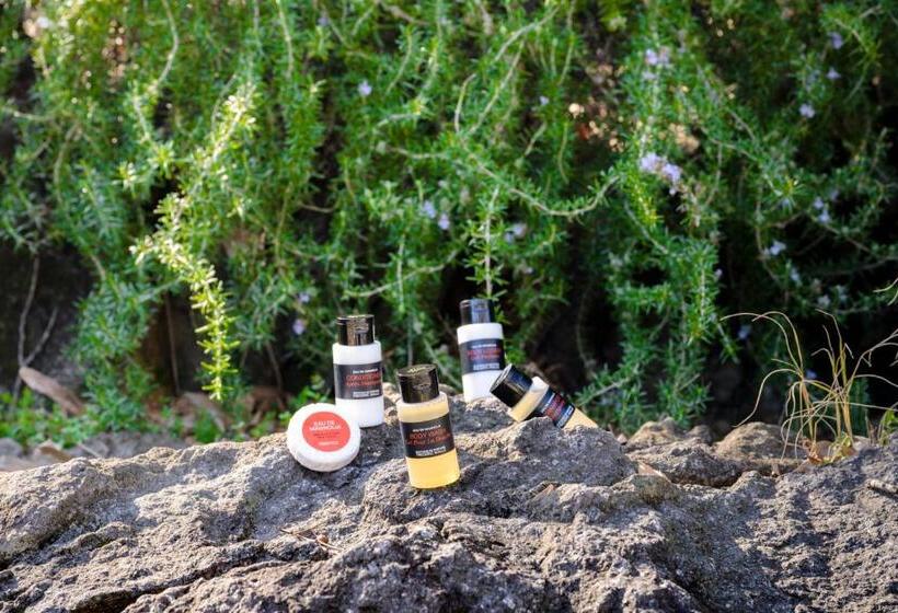 Standaard Studio, Bayhill Pool & Villa