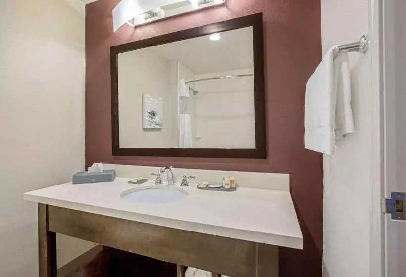 キングサイズベッド、ビュー付きデラックスルーム, La Quinta By Wyndham Corpus Christi   Portland