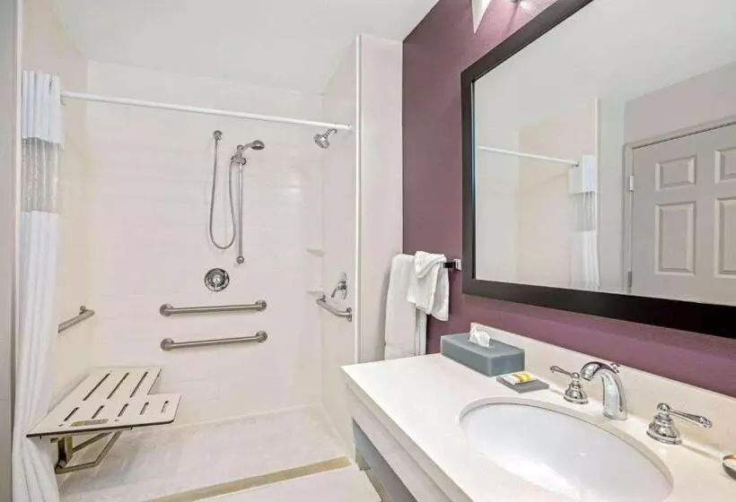 身障者適用スタンダードルーム, La Quinta By Wyndham Corpus Christi   Portland