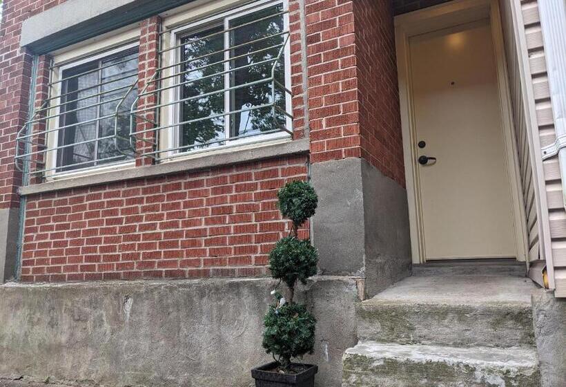 标准间, Mcgee S Inn