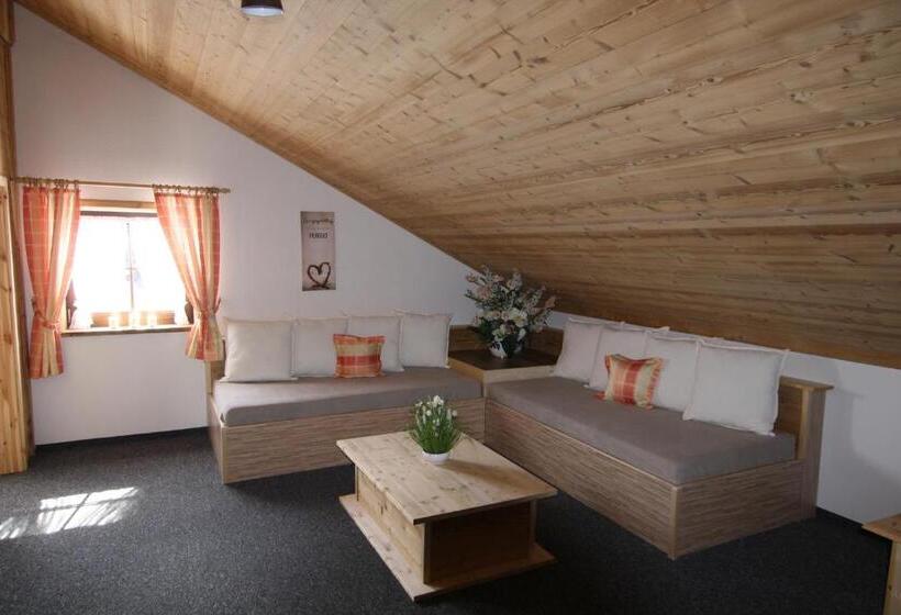 Студия Стандарт, Seidl