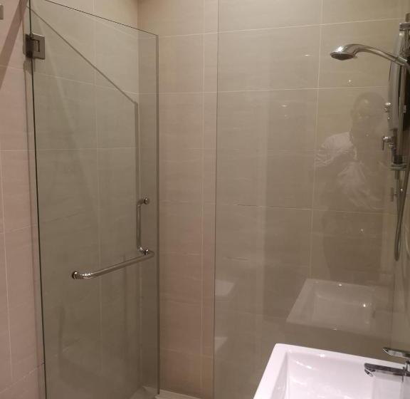 חדר סטנדרט, The V