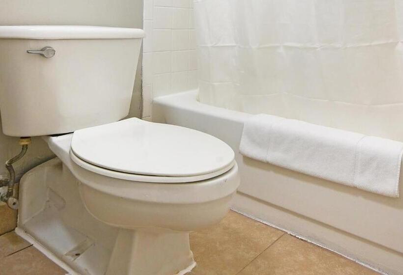 غرفة قياسية سرير كينج لذوى الإحتياجات الخاصة, Petersburg Va I 95 & E Washington St