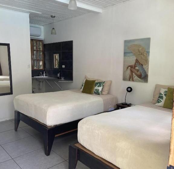 豪华房间, Lizard King Hotel & Suites