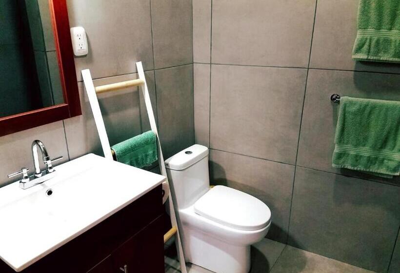 带1个卧室的公寓, Lizard King Hotel & Suites