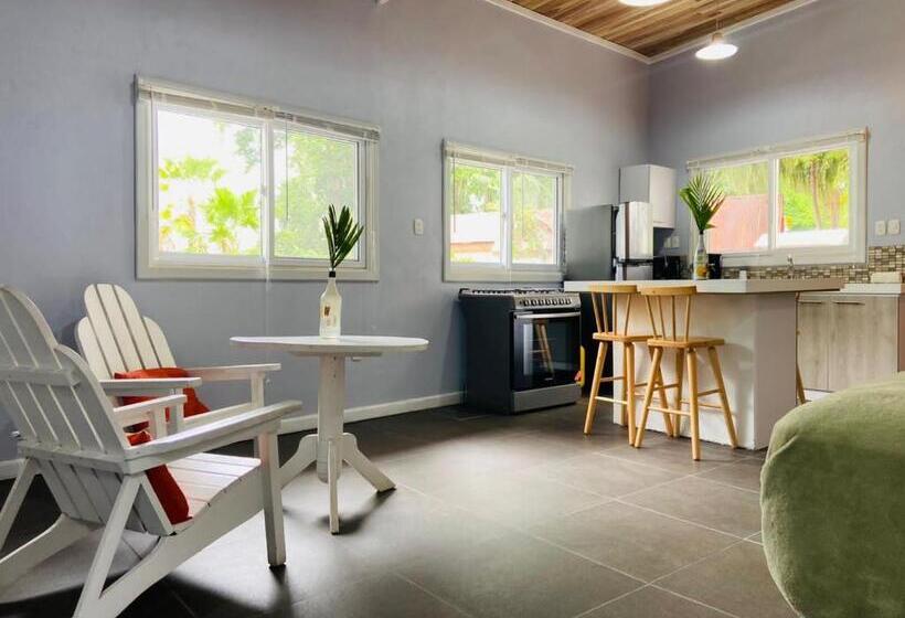 带1个卧室的公寓, Lizard King Hotel & Suites