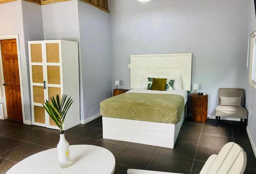 带1个卧室的公寓, Lizard King Hotel & Suites