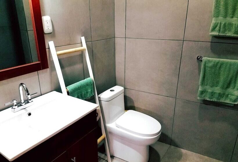 带1个卧室的公寓, Lizard King Hotel & Suites