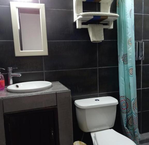 豪华套房, Lizard King Hotel & Suites