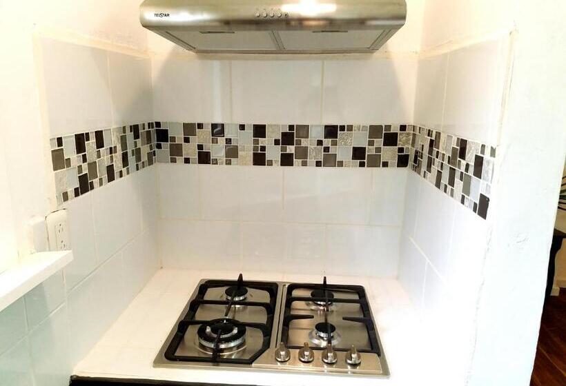 豪华套房, Lizard King Hotel & Suites