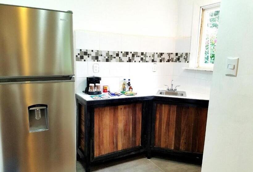 豪华套房, Lizard King Hotel & Suites