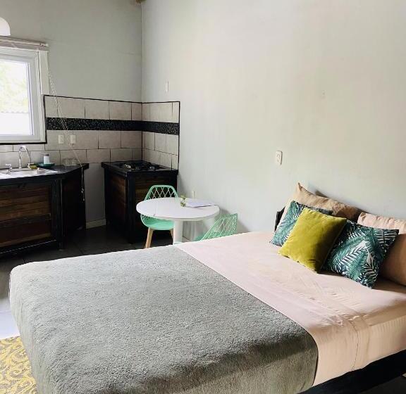 豪华套房, Lizard King Hotel & Suites