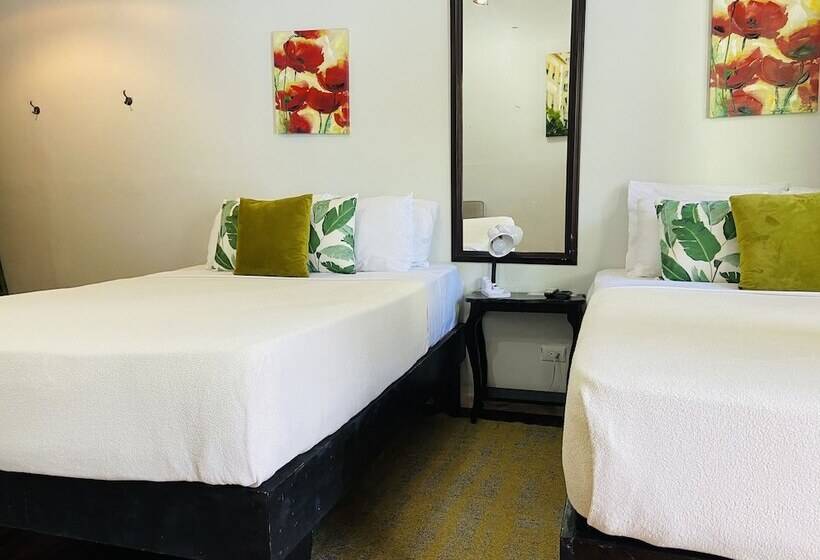 豪华房间, Lizard King Hotel & Suites