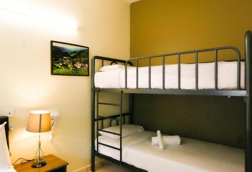 غرفة رباعية اقتصادية مع حمام مشترك, Golden Lodge