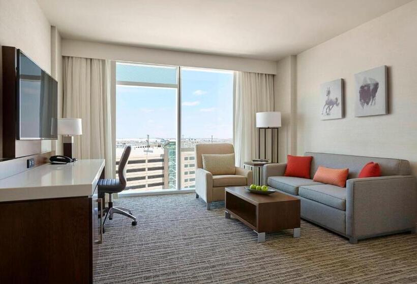 سوئیت با تخت بزرگ, Calgary Airport Marriott Interminal