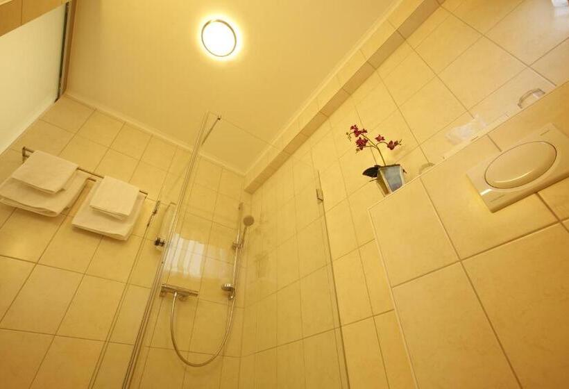 Номер Стандарт с Балконом, Florsbacher Hof