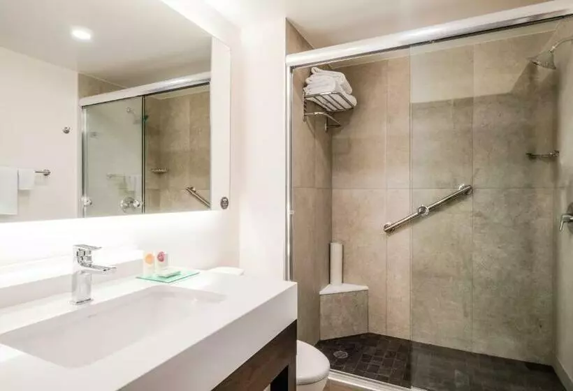２ダブルベッドのスタンダードルーム, Hyatt Place Celaya
