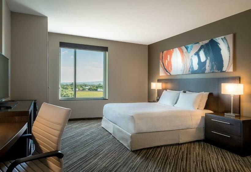 带大床的标准间, Hyatt Place Celaya