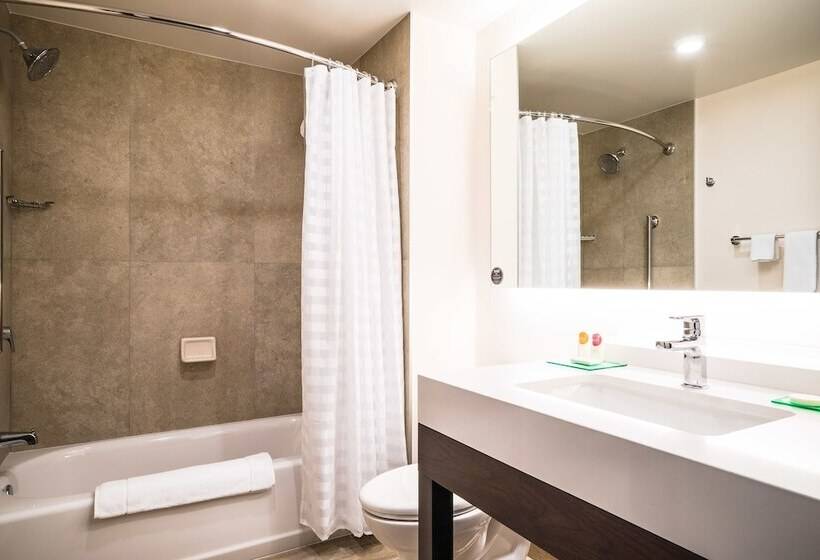 带2个双人床的标准工作室, Hyatt Place Celaya