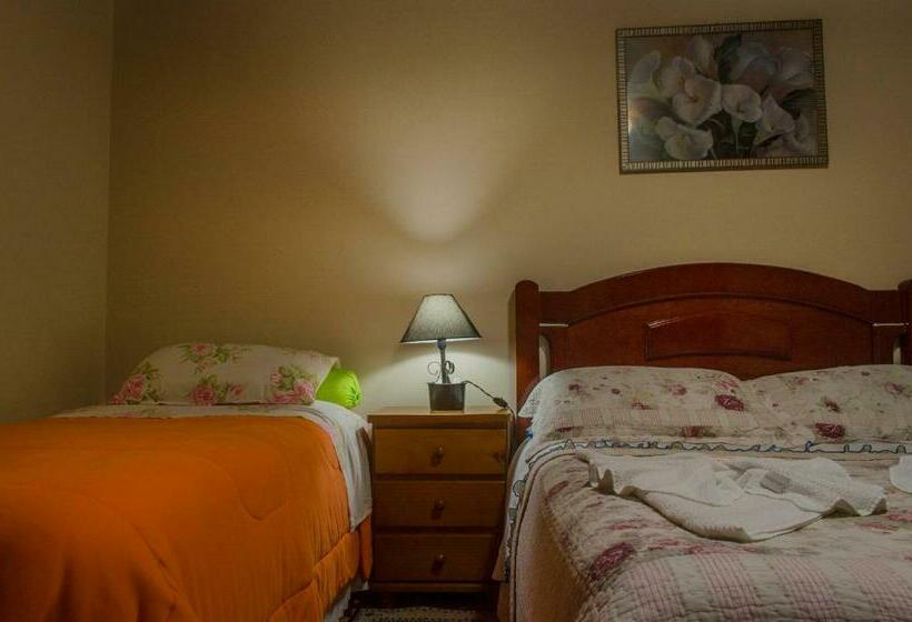 4인용 스탠다드 룸, Pousada Heron