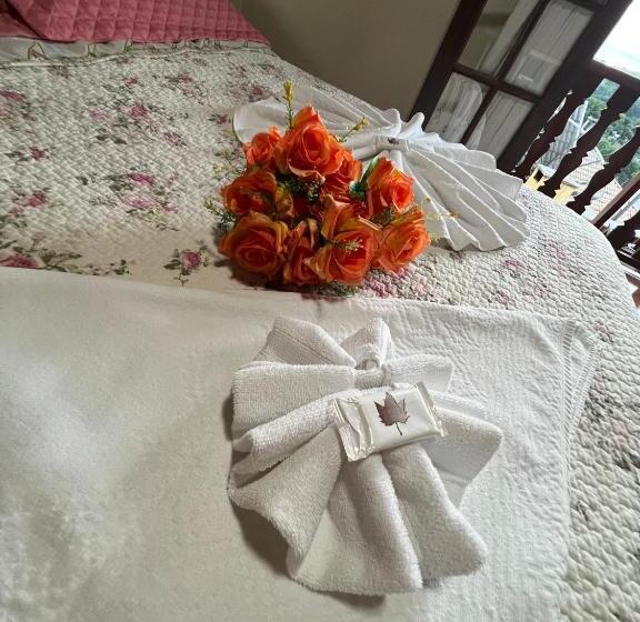 패밀리 스위트, Pousada Heron