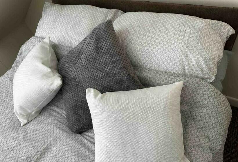 ベーシックルーム, Silverdale House