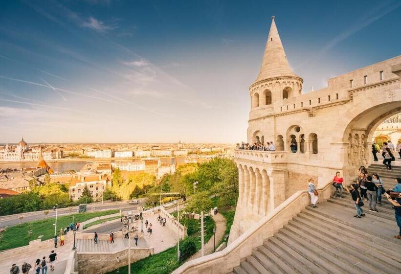 اتاق اکونومی, Baltazár Boutique