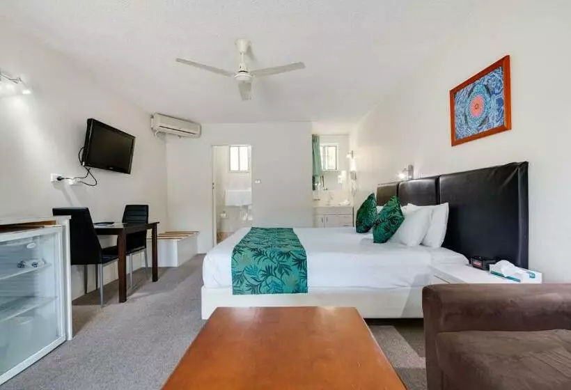 اتاق لوکس با تخت بزرگ, Coffs Harbour Pacific Palms Motel