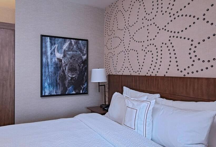 スイート, Fairfield Inn & Suites By Marriott Cheyenne Southwest/downtown Area