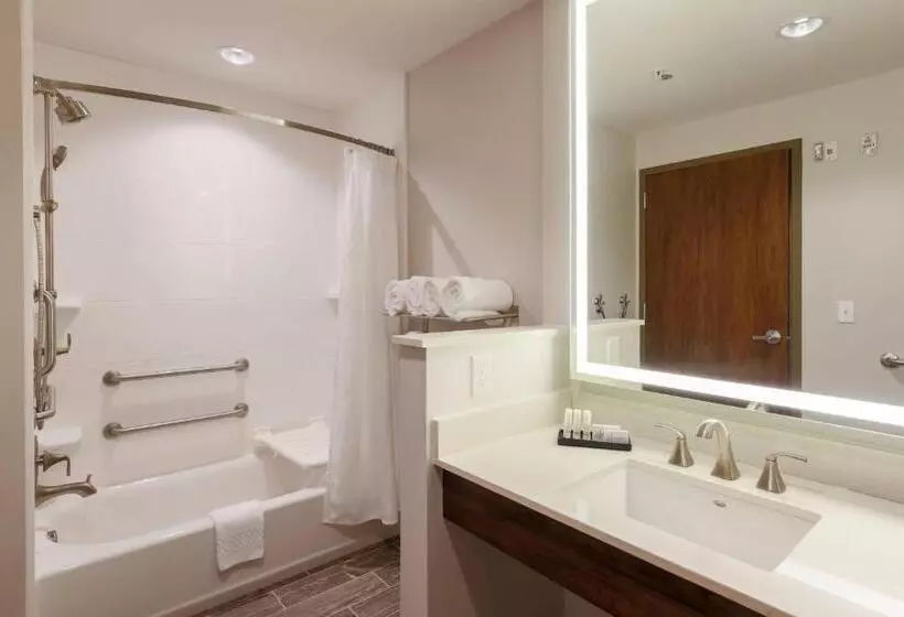 身障者適用キングサイズベッドルーム, Fairfield Inn & Suites By Marriott Cheyenne Southwest/downtown Area