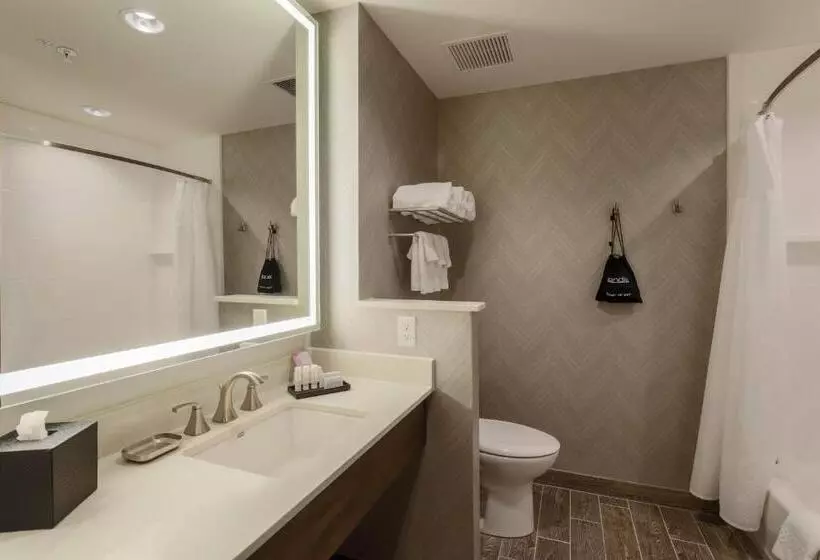 身障者適用スタンダードルーム, Fairfield Inn & Suites By Marriott Cheyenne Southwest/downtown Area