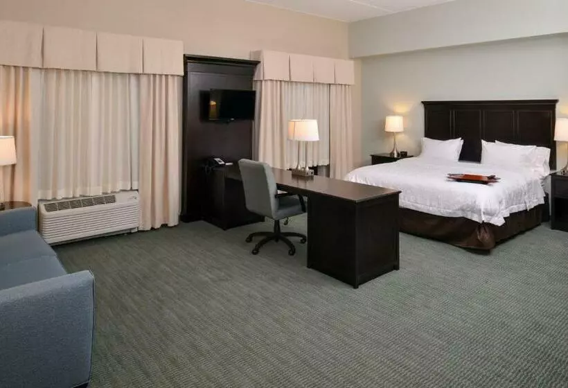 キングサイドベッドのスタンダードワンルーム, Hampton Inn & Suites Mount Joy/lancaster West