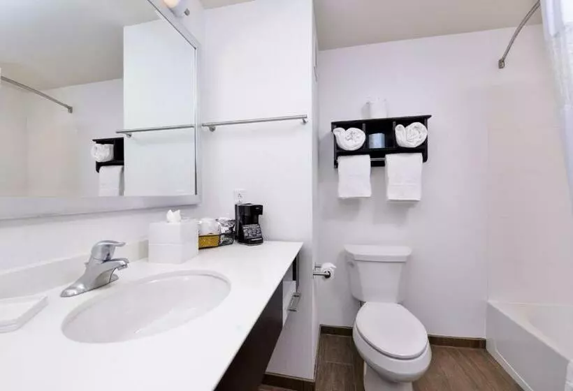 スタンダードルーム, Hampton Inn & Suites Mount Joy/lancaster West