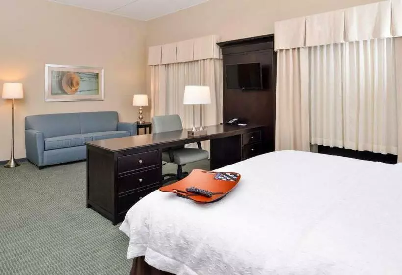 キングサイドベッドのスタンダードワンルーム, Hampton Inn & Suites Mount Joy/lancaster West