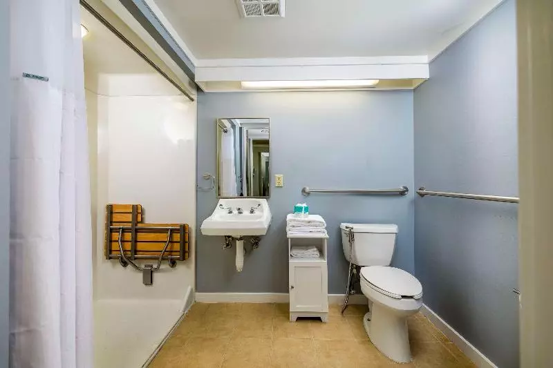 キングサイズベッドのエクゼクティブルーム, Hampton Inn & Suites Wichita/airport