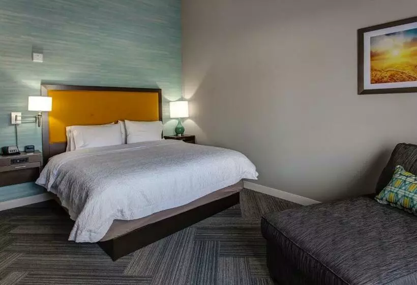 身障者適用キングサイズベッドルーム, Hampton Inn & Suites Wichita/airport
