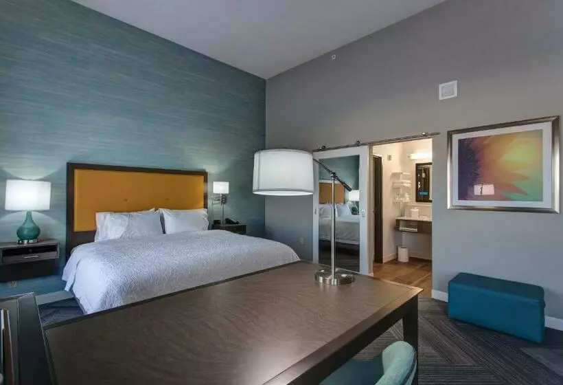キングサイズベッドのスイートルーム, Hampton Inn & Suites Wichita/airport