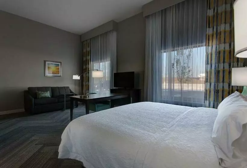 キングサイズベッドのスイートルーム, Hampton Inn & Suites Wichita/airport