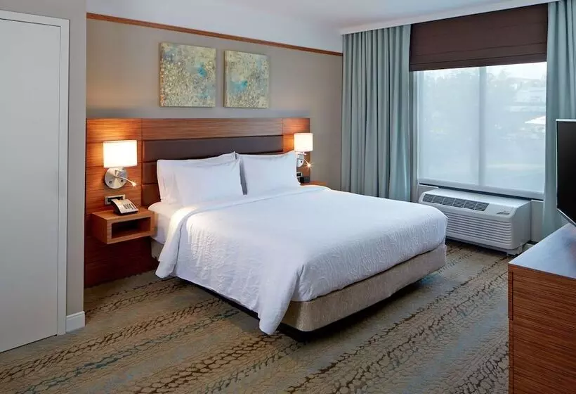 身障者適用スタンダードルーム, Hilton Garden Inn Boston/marlborough