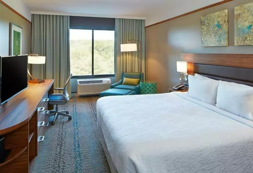 キングサイズベッドのスタンダードルーム, Hilton Garden Inn Boston/marlborough
