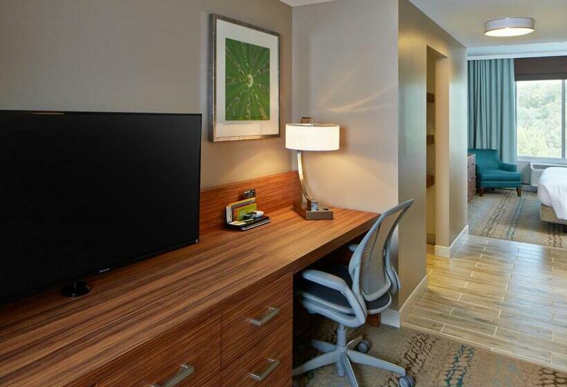 Полулюкс Кровать Кинг, Hilton Garden Inn Boston/marlborough