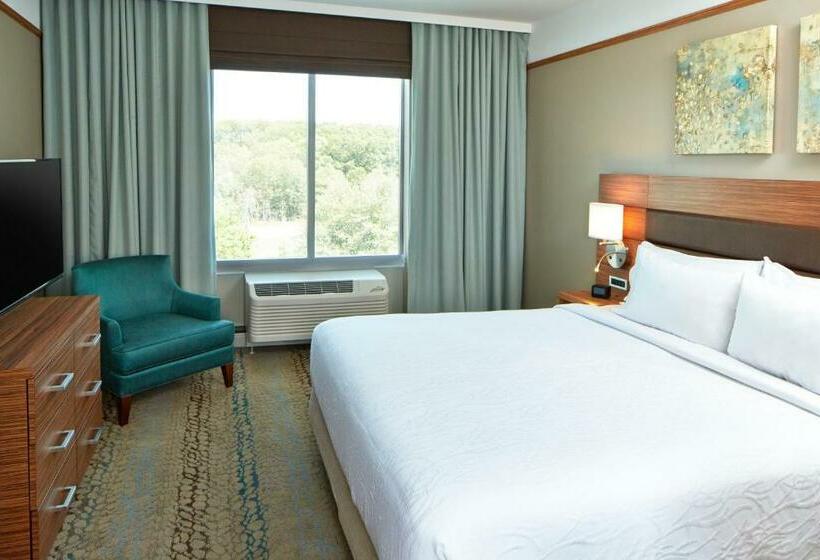 جناح جونيور سرير كينج, Hilton Garden Inn Boston/marlborough