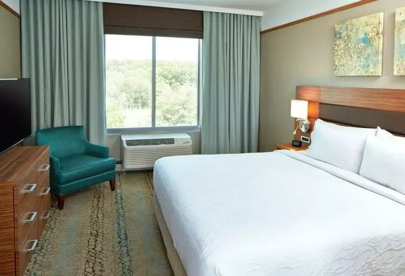 キングサイズベッドのジュニアスイート, Hilton Garden Inn Boston/marlborough