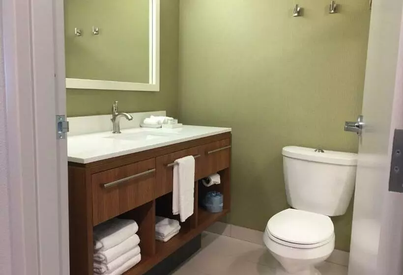 Deluxe Suite King Bed, Home2suites By Hilton Dupont, Wa