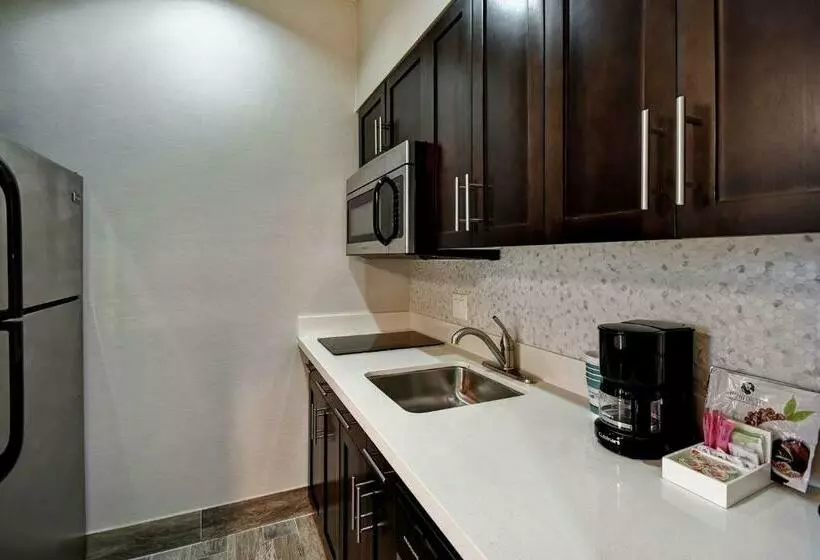 キングサイズベッドのスイートルーム, Homewood Suites By Hilton Dallas Arlington South